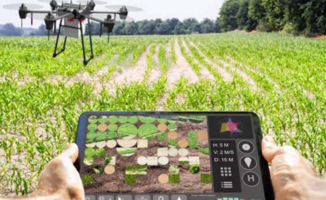 Smart Farming Transformasi Pertanian Cerdas di Pedesaan Negara Berkembang