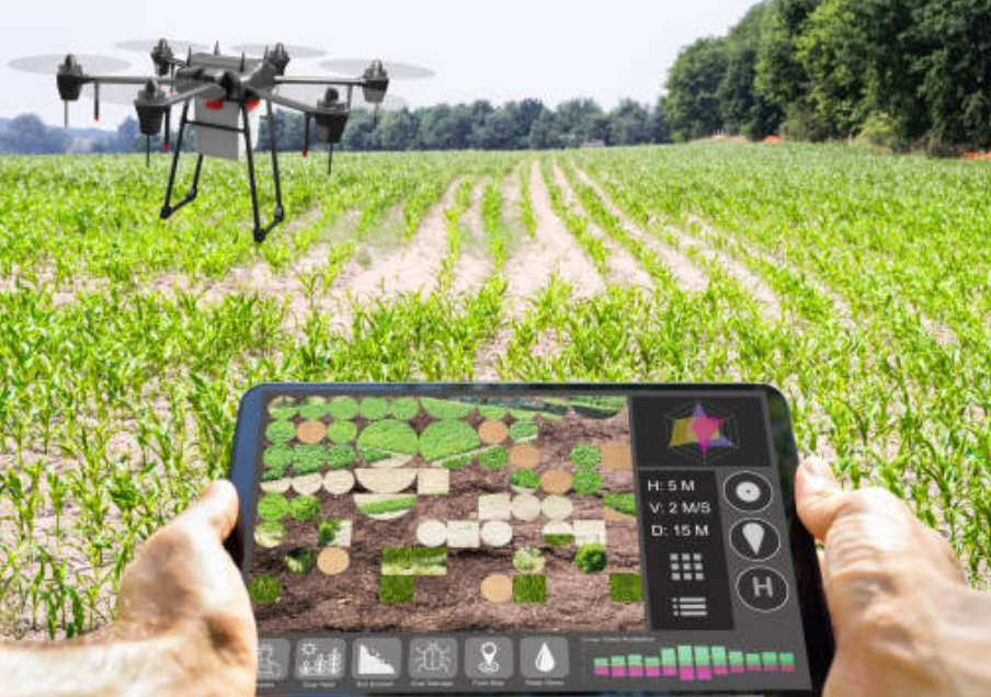 Smart Farming Transformasi Pertanian Cerdas di Pedesaan Negara Berkembang
